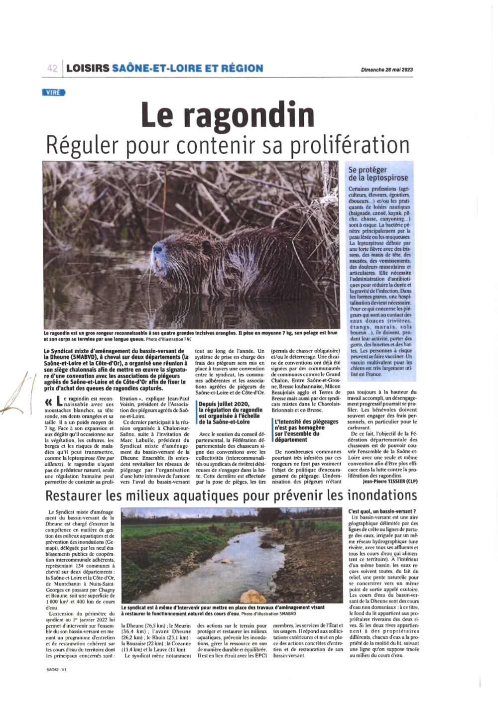 Le ragondin